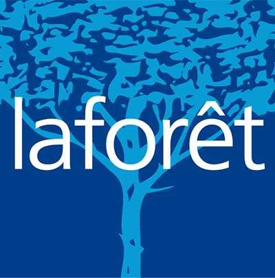 La Forêt